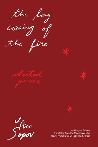 Cover image for The Long Coming of the Fire