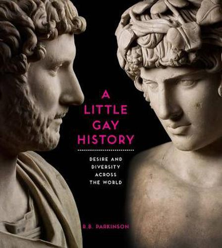 Cover image for A Little Gay History: Desire and Diversity across the World