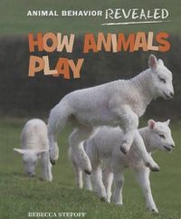 Cover image for How Animals Play