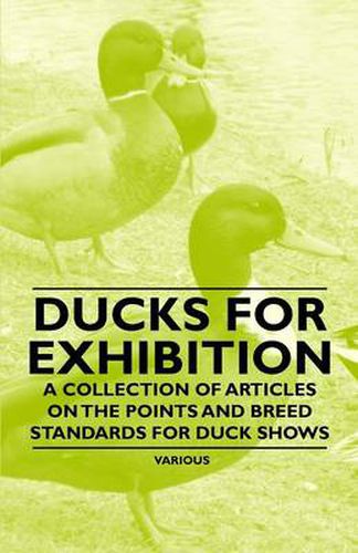 Cover image for Ducks for Exhibition - A Collection of Articles on the Points and Breed Standards for Duck Shows