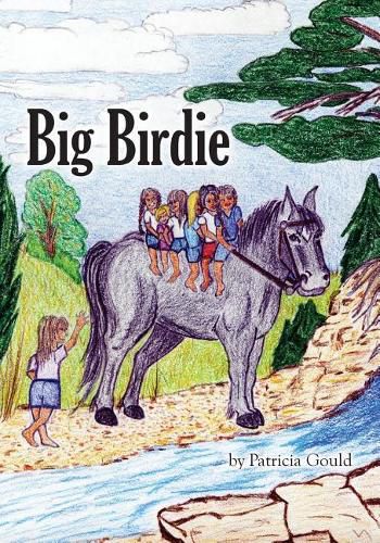 Cover image for Big Birdie