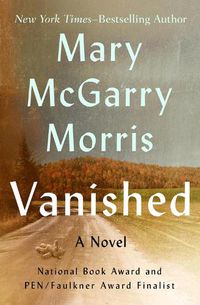 Cover image for Vanished: A Novel