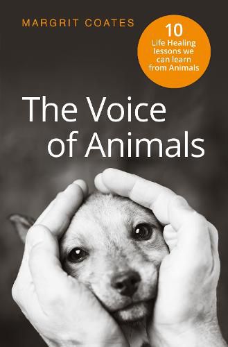 Cover image for The Voice of Animals: 10 Life-Healing Lessons We Can Learn From Animals