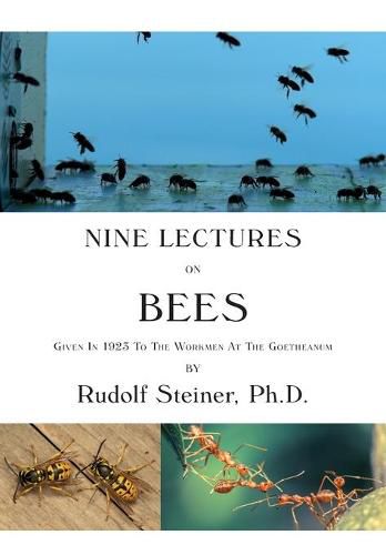 Cover image for Nine Lectures on Bees: Given In 1923 To The Workmen At The Goetheanum