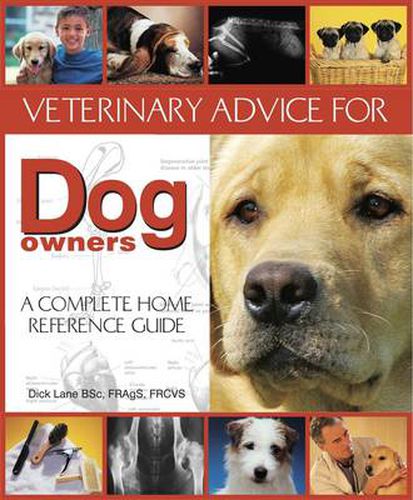 Cover image for Veterinary Advice for Dog Owners