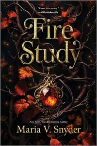Cover image for Fire Study