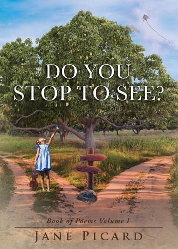 Cover image for Do You Stop to See?