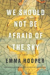 Cover image for We Should Not Be Afraid Of The Sky