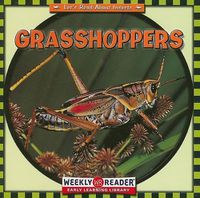 Cover image for Grasshoppers