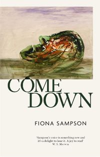 Cover image for Come Down