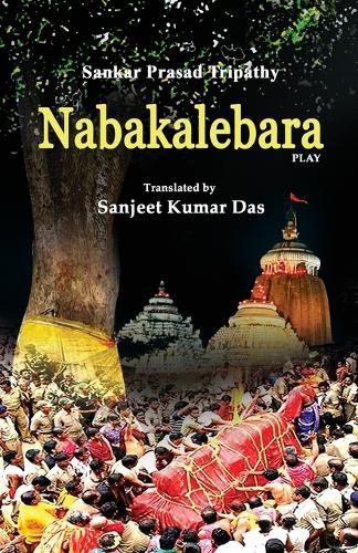 Cover image for Nabakalebara