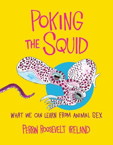 Cover image for Poking the Squid