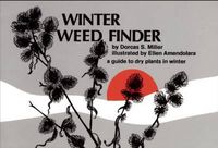 Cover image for Winter Weed Finder: A Guide to Dry Plants in Winter