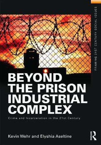 Cover image for Beyond the Prison Industrial Complex: Crime and Incarceration in the 21st Century