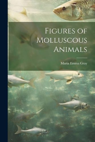 Cover image for Figures of Molluscous Animals