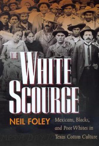 The White Scourge: Mexicans, Blacks, and Poor Whites in Texas Cotton Culture