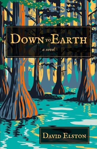 Cover image for Down to Earth