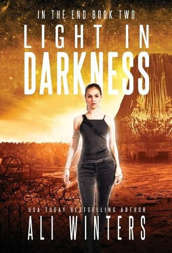 Cover image for Light in Darkness
