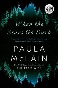 Cover image for When the Stars Go Dark: A Novel