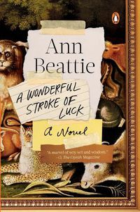 Cover image for A Wonderful Stroke of Luck: A Novel