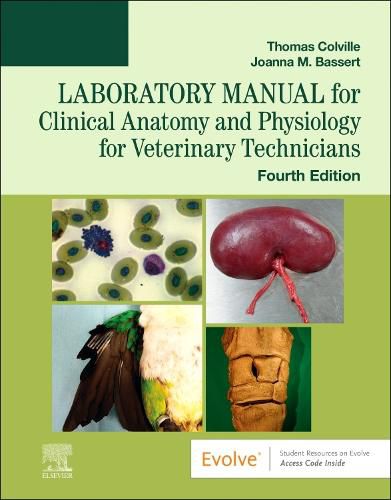 Cover image for Laboratory Manual for Clinical Anatomy and Physiology for Veterinary Technicians