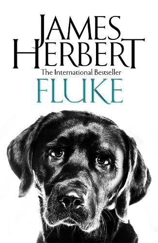 Cover image for Fluke
