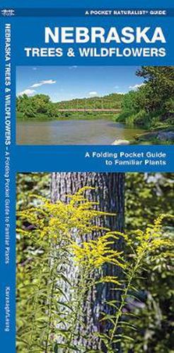 Cover image for Nebraska Trees & Wildflowers: A Folding Pocket Guide to Familiar Plants