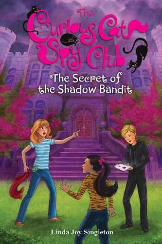 Cover image for The Secret of the Shadow Bandit