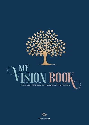 Cover image for My Vision Book