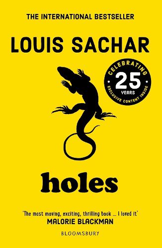 Cover image for Holes