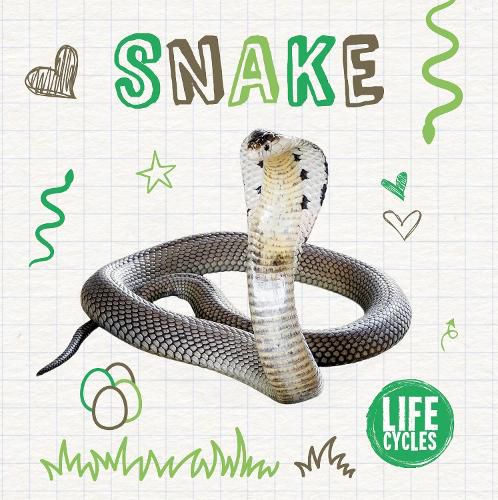 Cover image for Snake