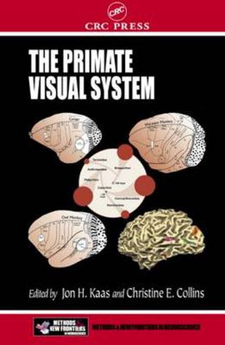 Cover image for The Primate Visual System