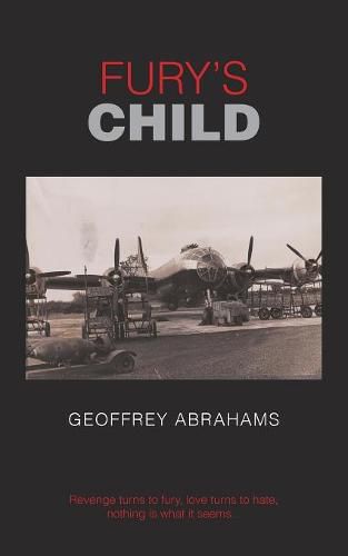 Cover image for Fury's Child