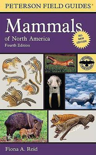Cover image for Peterson Field Guide to Mammals of North America