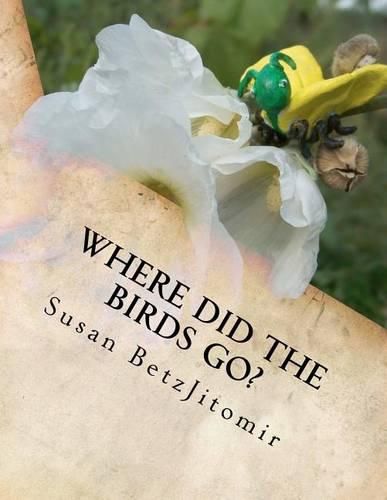 Cover image for Where Did The Birds Go?