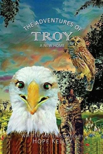 Cover image for The Adventures of Troy A New Home