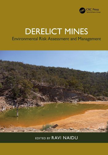 Cover image for Derelict Mines: Environmental Risk Assessment and Management