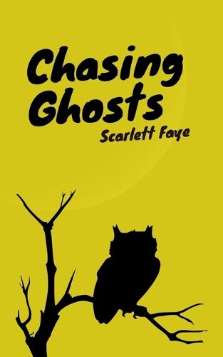 Cover image for Chasing Ghosts