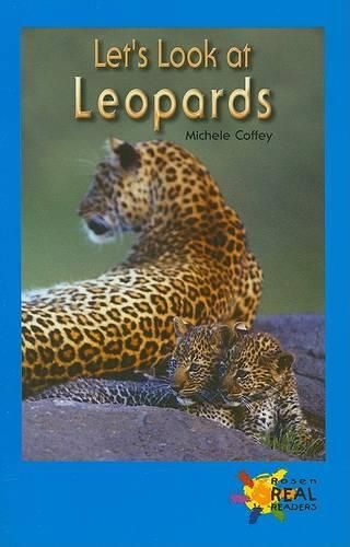 Cover image for Let's Look at Leopards