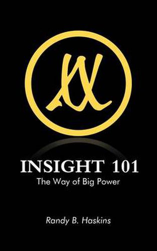 Cover image for Insight 101