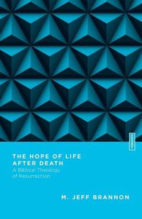 Cover image for The Hope of Life After Death: A Biblical Theology of Resurrection