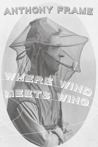 Cover image for Where Wind Meets Wing