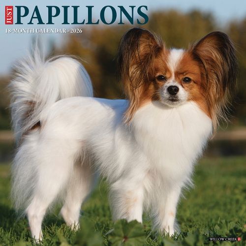 Cover image for Papillons 2026 Wall Calendar