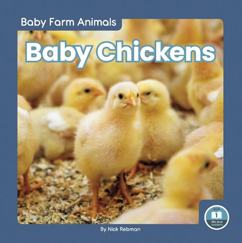 Cover image for Baby Chickens