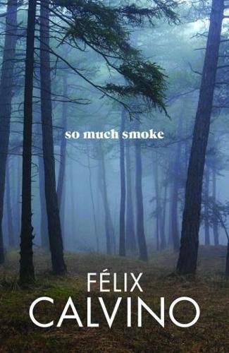 Cover image for So Much Smoke