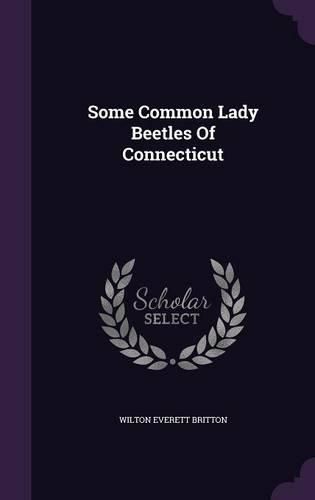 Cover image for Some Common Lady Beetles of Connecticut
