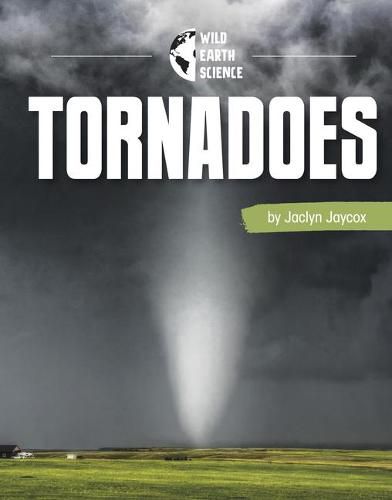 Cover image for Tornadoes