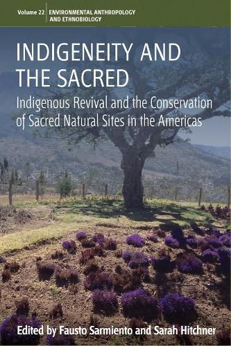 Cover image for Indigeneity and the Sacred: Indigenous Revival and the Conservation of Sacred Natural Sites in the Americas