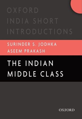 Cover image for The Indian Middle Class