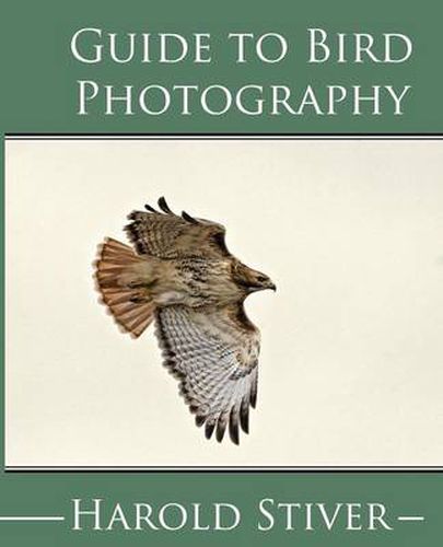 Guide to Photographing Birds